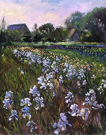 White Irises and Farmstead, 1992  von Timothy  Easton