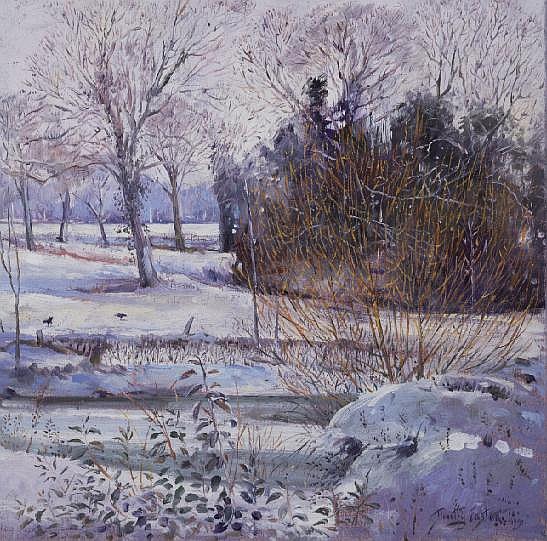 Young Willow against the Snow von Timothy  Easton