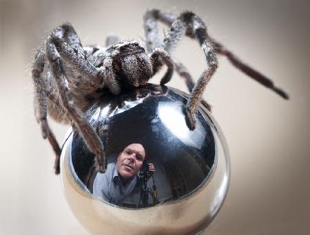 Selbstporträt mit Spinne