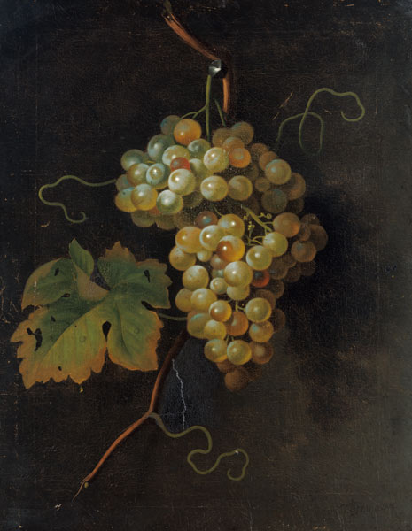 Grapes von Tobias Stranover