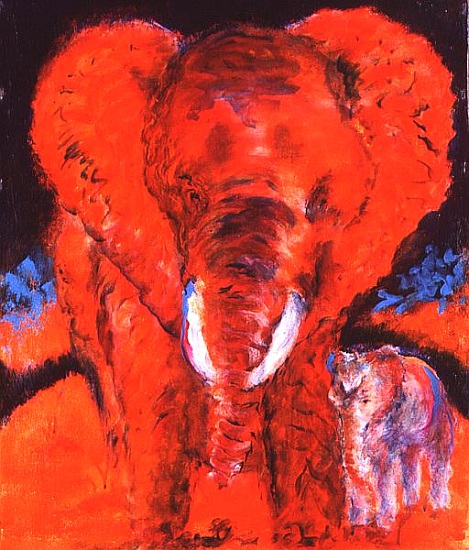 The Last Elephant von  Tom  Cook
