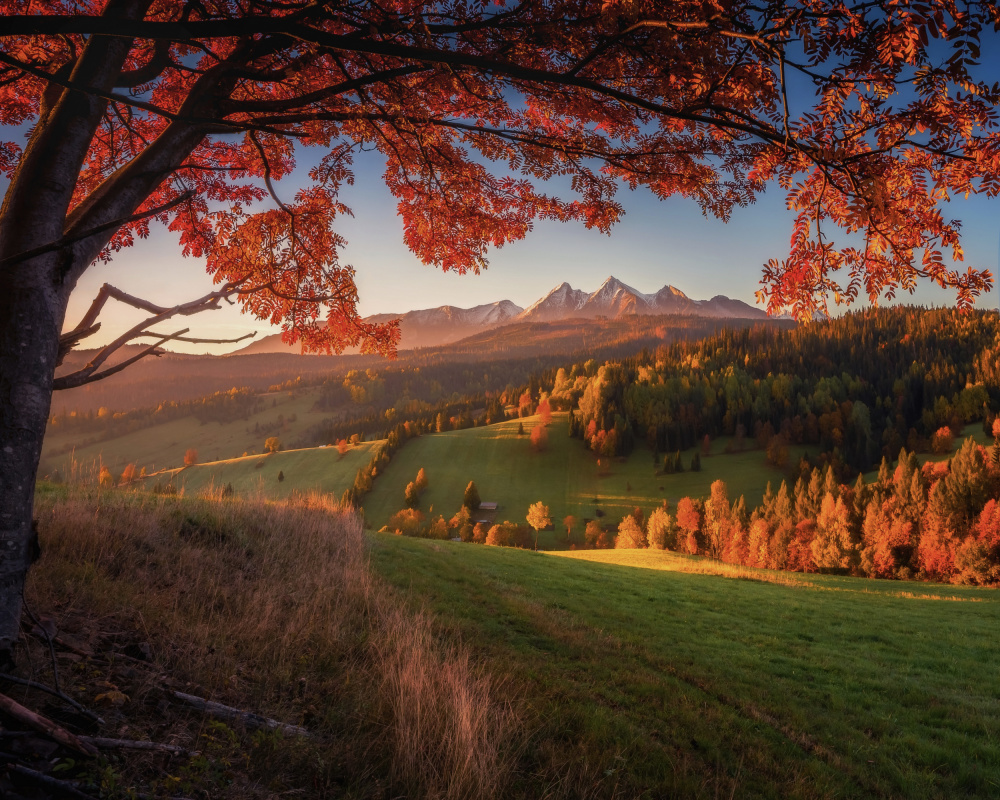 Herbst unter der Tatra von TomaszOryszczakPhotography