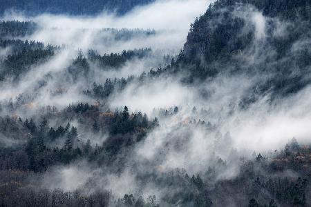 Ein Tal im Nebel