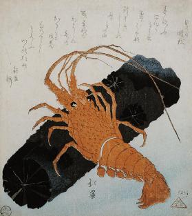 Langoustine with a Block of Charcoal, c.1830 c. 1830