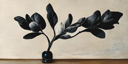 Schwarze Magnolie