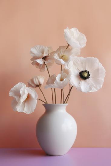 Weiße Mohnblume in weißer Vase