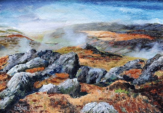 Langdales top, Cumbria von Trevor  Neal