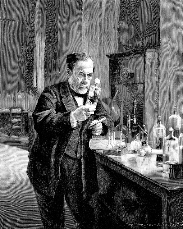 Französischer Naturforscher und Mediziner Louis Pasteur (1822–1895) von Unbekannter Künstler