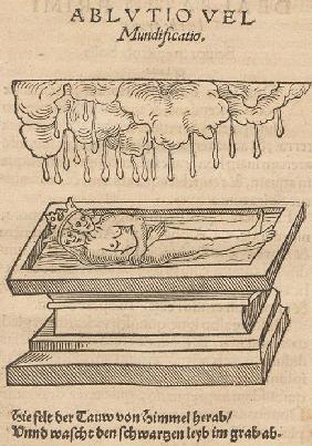 Illustration für Rosarium philosophorum sive pretiosissimum donum Dei 1550