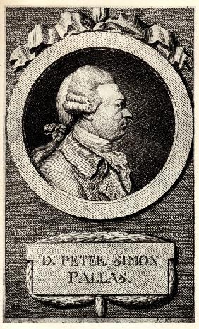 Porträt von Naturforscher und Geograph Peter Simon Pallas (1741-1811)