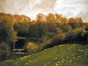 Meadow and Woodland 1895