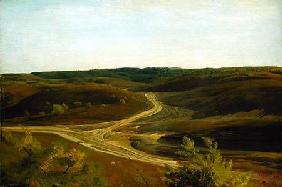 The Moorland near Ehestorf 1868  pape