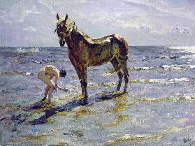 Baden des Pferdes 1905