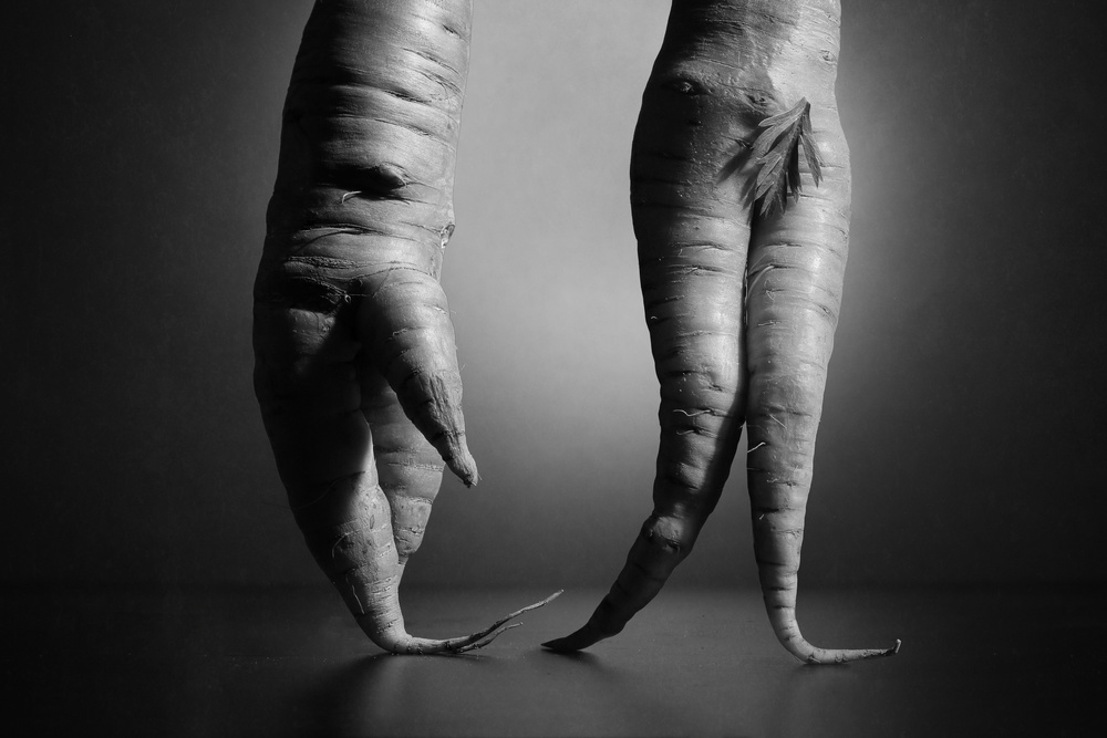 Nur ein Stilllebenfoto mit zwei Karotten. Nichts anderes. von Victoria Glinka