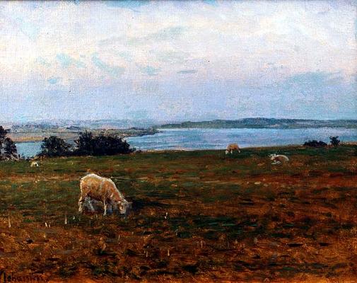 Sheep Grazing, Osterby, Skagen (oil on canvas) von Viggo Johansen