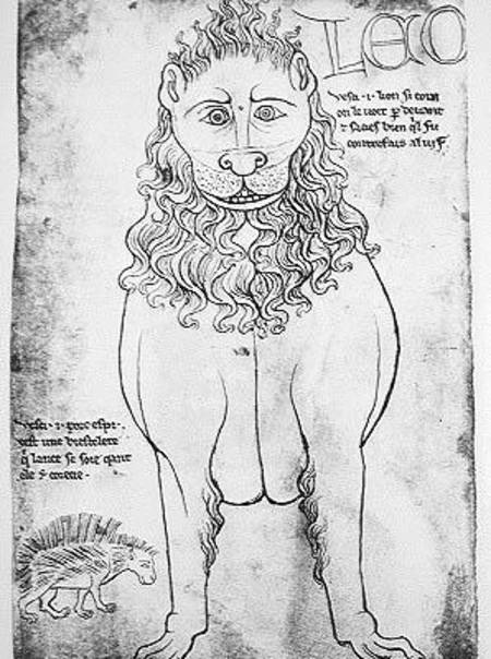 Ms Fr 19093 fol.24v Lion and Porcupine (pen & ink on paper) (facsimile) von Villard  de Honnecourt