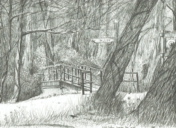 The old metal bridge, Bramhall park von Vincent Alexander Booth