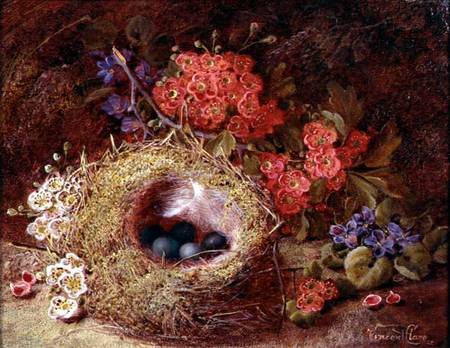 Still life of a bird's nest and blossom von Vincent Clare