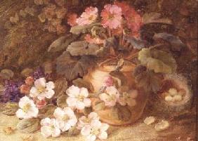 Still Life with Apple Blossom, Primula and Bird's Nest