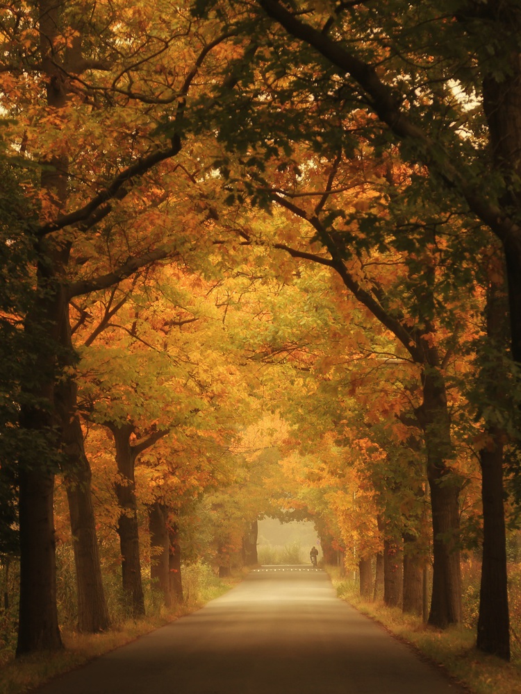 Pendeln im Herbst von Vincent Croce