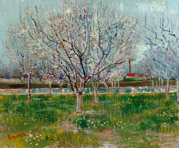 Blühender Obstgarten von Vincent van Gogh