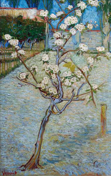 van Gogh/Blossoming pear tree/April 1888 von Vincent van Gogh
