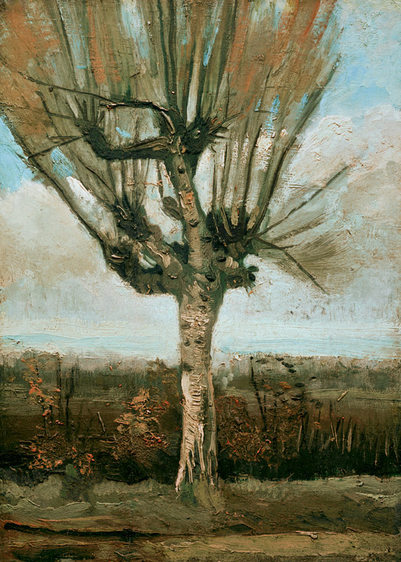 Common white willow von Vincent van Gogh