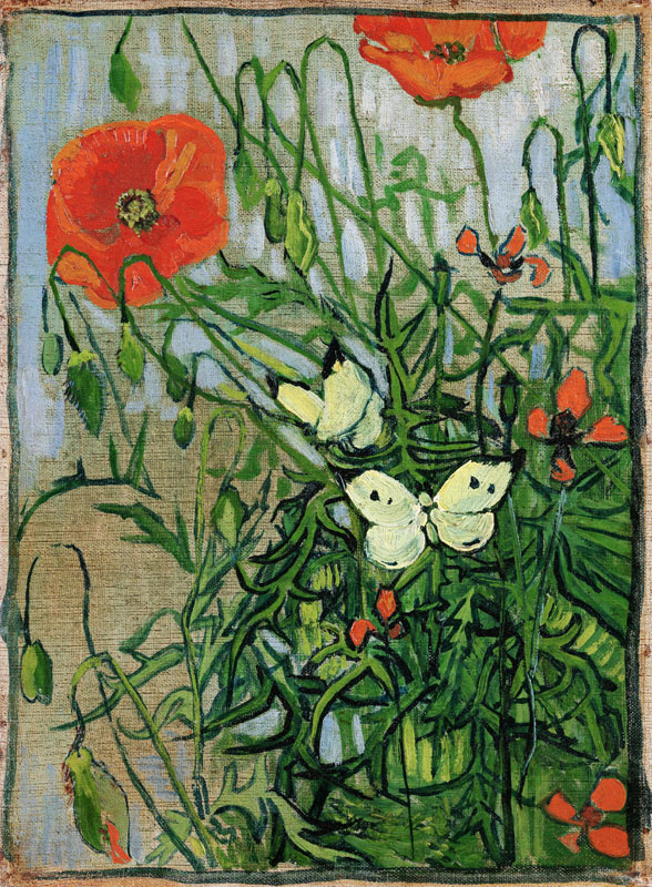 Schmetterlinge und Mohnblumen von Vincent van Gogh