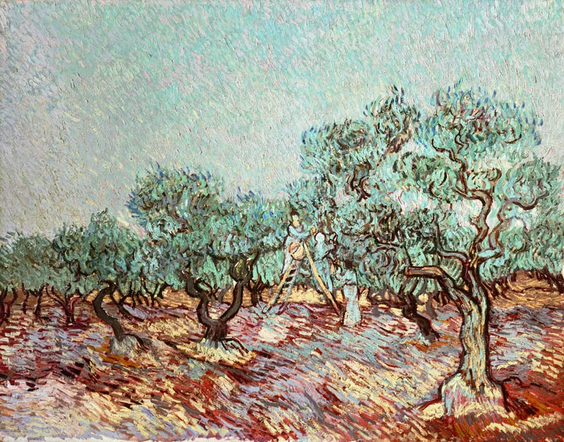 The Olive Gatherers von Vincent van Gogh