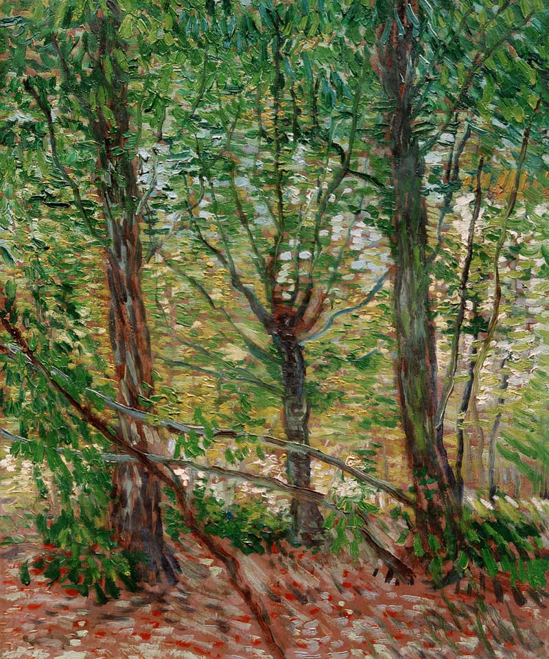 Bäume und Unterholz von Vincent van Gogh
