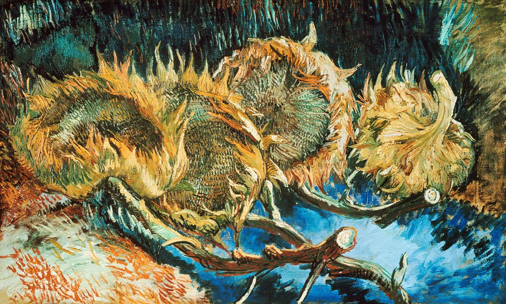 Vier verblühte Sonnenblumen von Vincent van Gogh