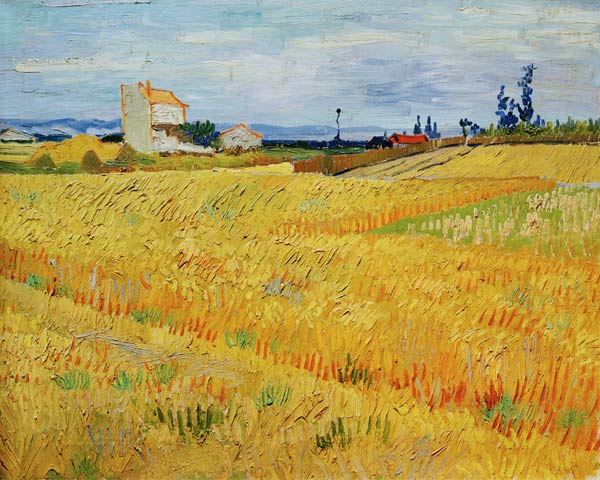 Wheat Field von Vincent van Gogh