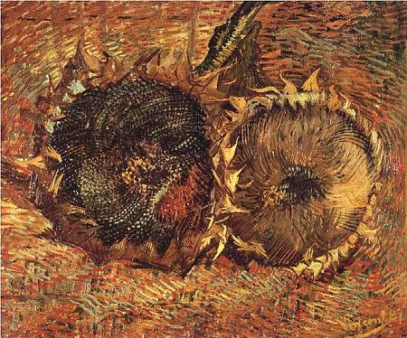 Two Cut Sunflowers von Vincent van Gogh