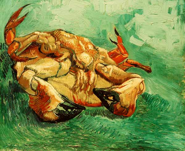 Krebs auf dem Rücken liegend von Vincent van Gogh