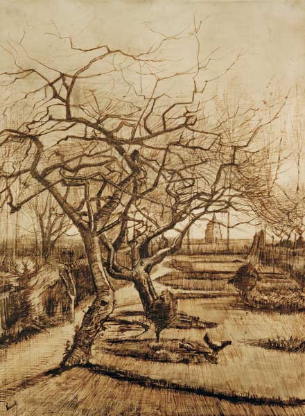 Parsonage Garden in Nuenen von Vincent van Gogh