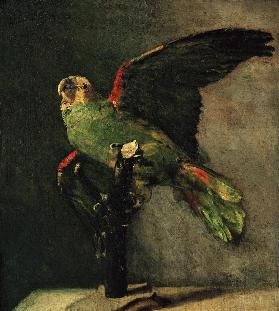 Der grüne Papagei 1885