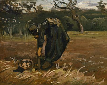 Peasant woman digging potatoes 1885