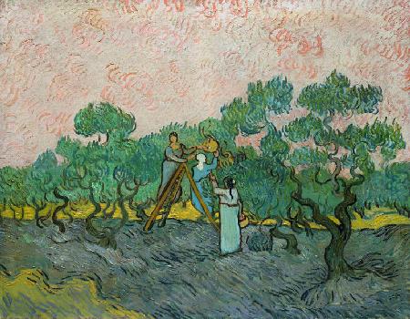 The Olive Pickers, Saint-Remy 1889