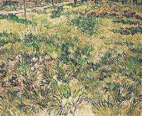 Meadow with Butterflies 1890