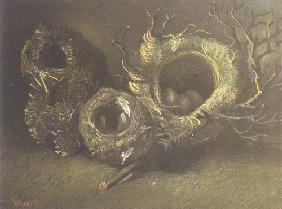 Stilleben mit drei Vogelnestern 1885