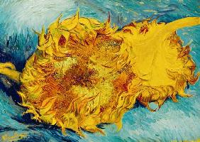zwei abgeschnittene Sonnenblumen 1887
