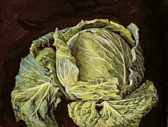 Cabbage Still Life von  Vincent  Yorke