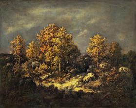 The Jean de Paris Heights in the Forest of Fontainebleau 1867