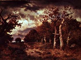 The Edge of the Forest 1871