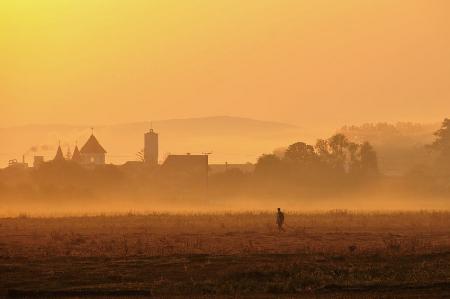 Barbatul Matinal (Der Morgenmann)