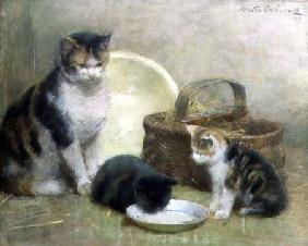 Cat and Kittens 1889