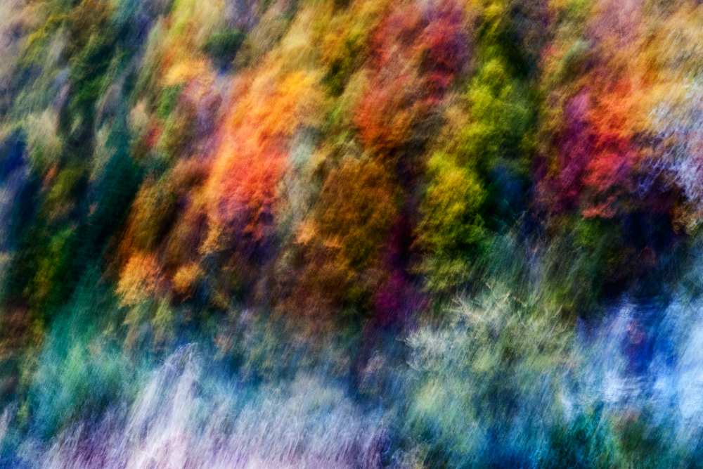 COLORFUL FOREST von Wei He