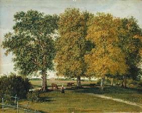 Herder with Cattle beneath Autumnal Trees c.1821  pa