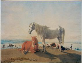 Weidende Pferde am Starnberger See 1819