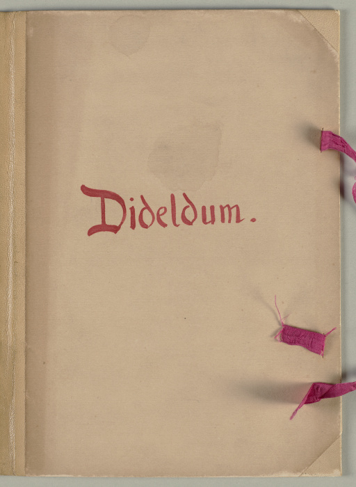 Bilderhandschrift zu "Dideldum!“ von Wilhelm Busch